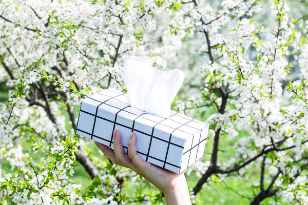 Curist Blog | Tissue Box