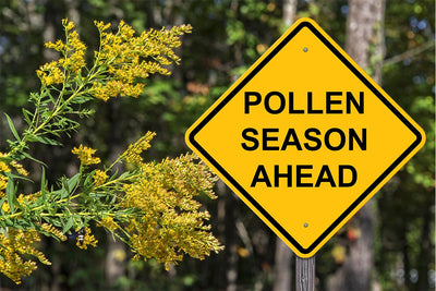 Allergic to Spring? Pollen Allergies are Back