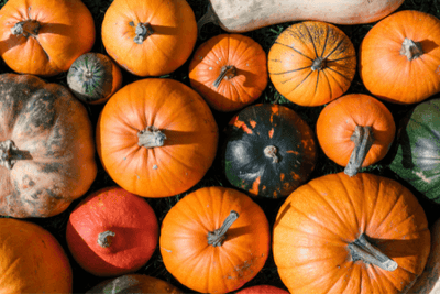 Pumpkin Allergies? Allergic To Pumpkin Seeds?