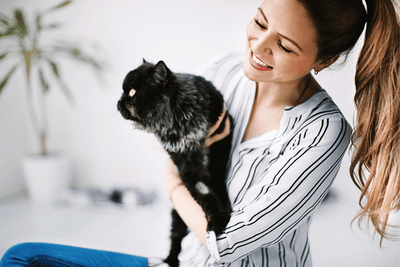 Best Antihistamines for Cat Allergies