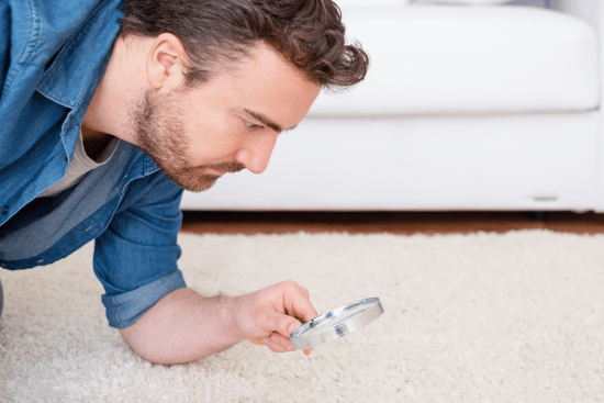 searching for dust mites