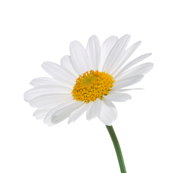 Curist Blog About Best Heartburn Medicines for Acid Reflux